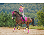 teddyfleece dressuur beenbeschermers Essential, voorbenen