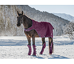 transportbeschermers Kilian