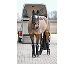 transportbeschermers Kilian