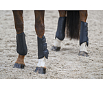 dressuur beenbeschermers All Day, voorbenen