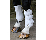 dressuur beenbeschermers All Day, voorbenen