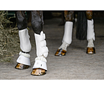 dressuur beenbeschermers All Day, voorbenen