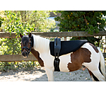 voltigesingel Entrance