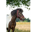 halster Svs
