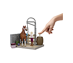 Sofia's paardenwasplaats