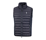 heren bodywarmer Dexter