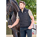 heren bodywarmer Dexter