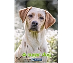 cadeaubon om online uit te printen