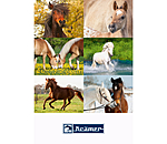 cadeaubon om online uit te printen