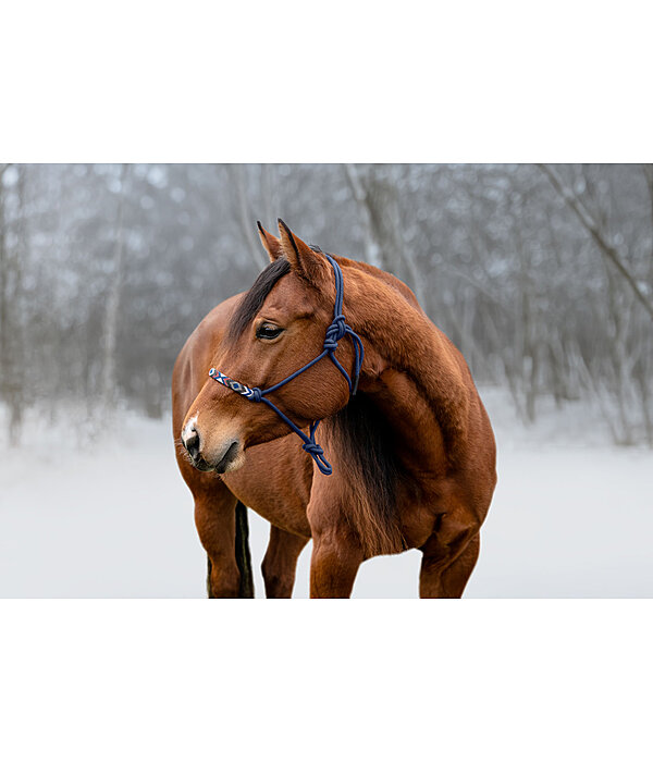 knopenhalster Beaded