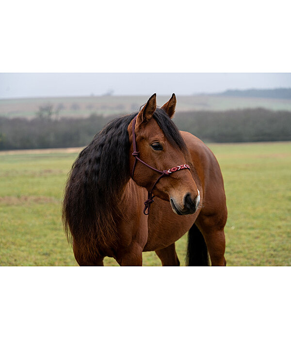 knopenhalster Beaded