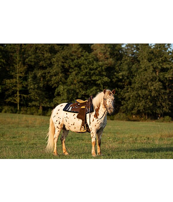 pony westernzadel