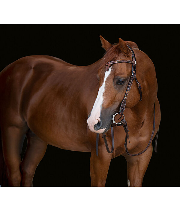 Westernhoofdstel Tila