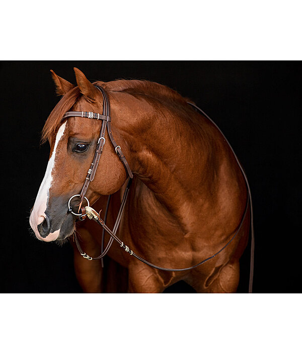 westernhoofdstel Rawhide