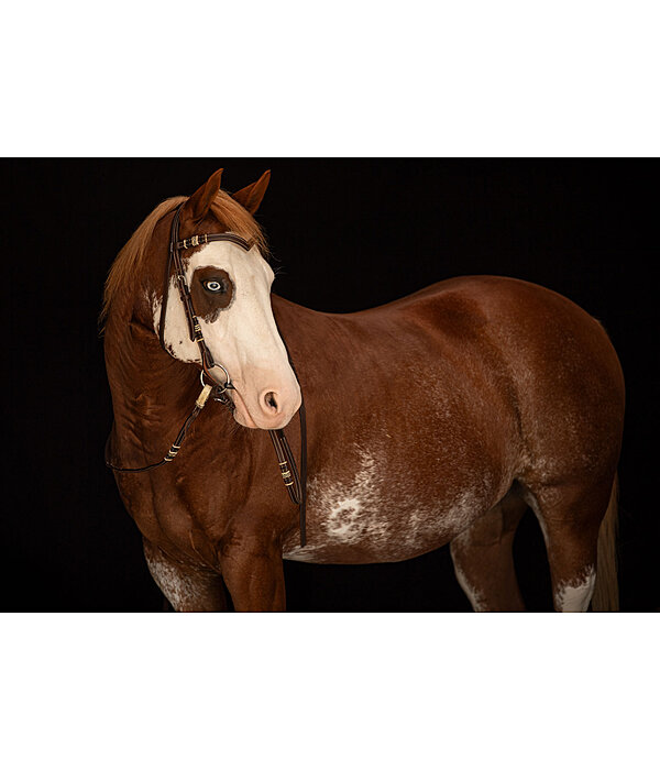 westernhoofdstel Rawhide