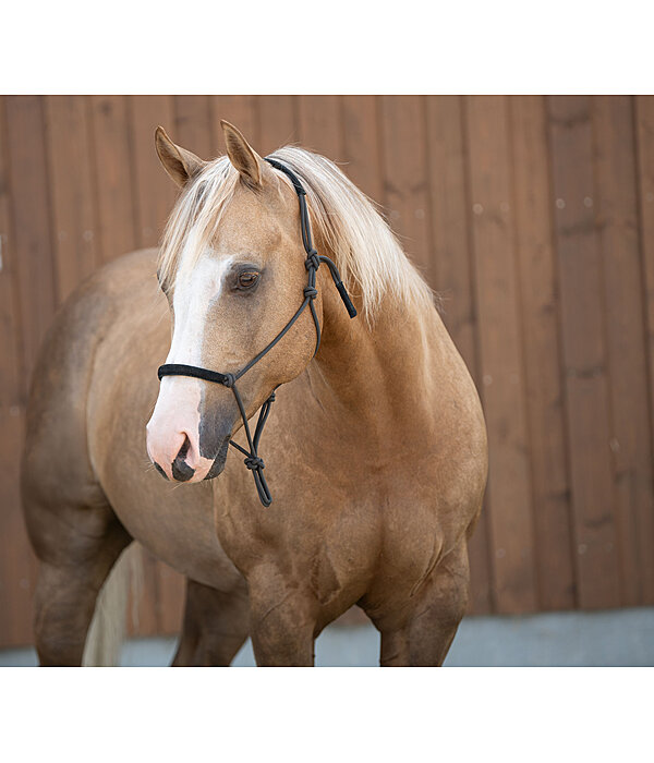 knopenhalster Cuero