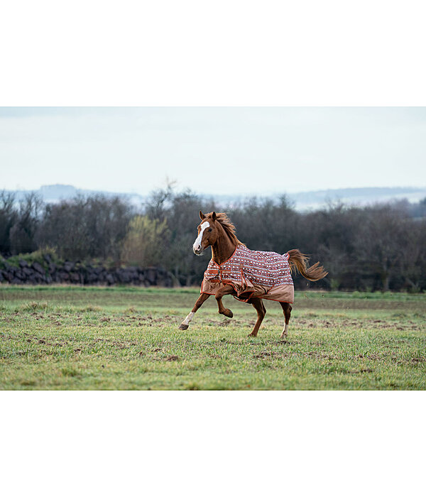regendeken Billy