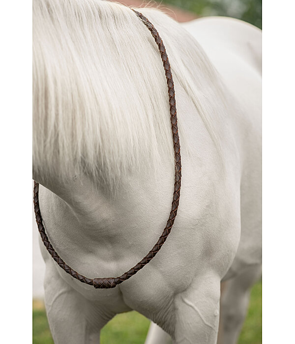 lederen halsring Premium