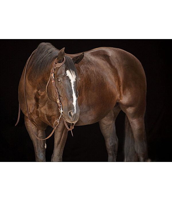Western hoofdstel Copper