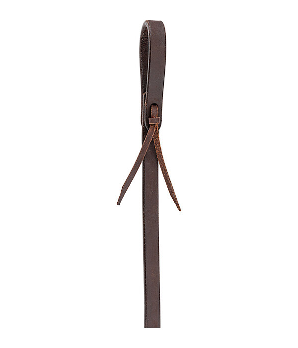 Westernteugel Harness