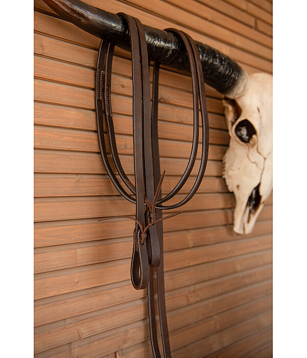 Westernteugel Harness