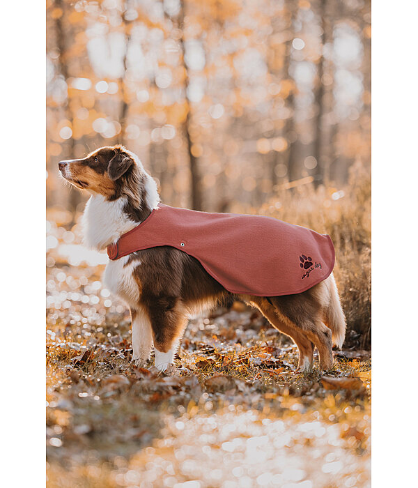 regenjas Eldoro II