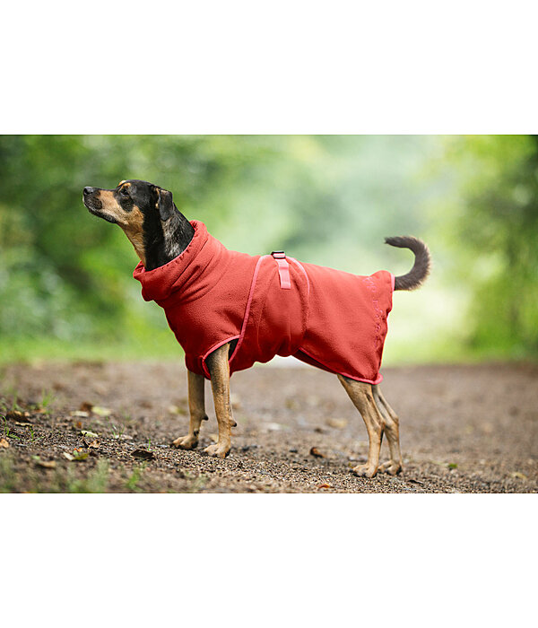 hondenbadjas Dry Dog II