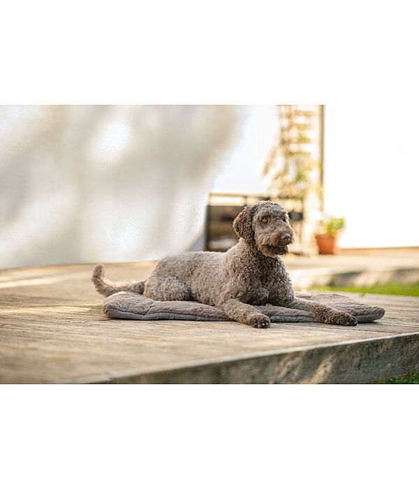 hondendeken Let Me Sleep