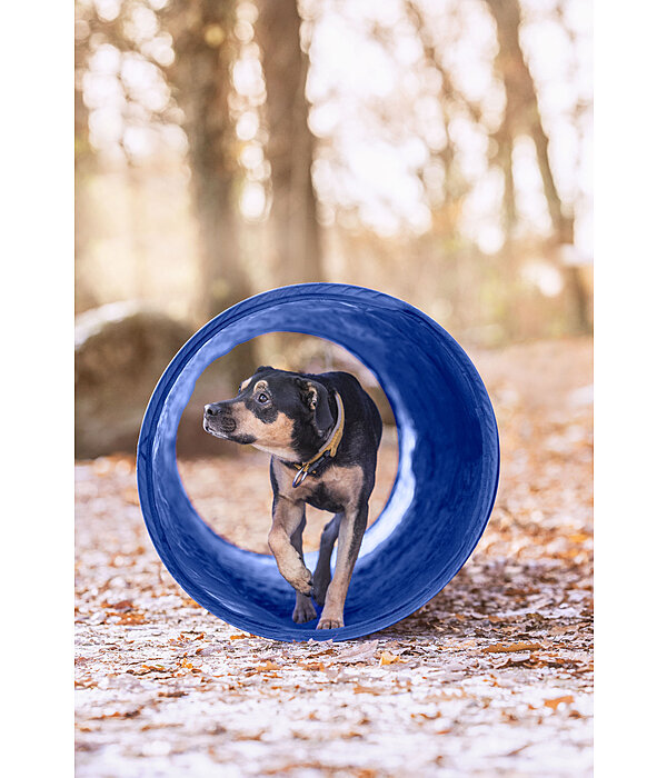 agility tunnel