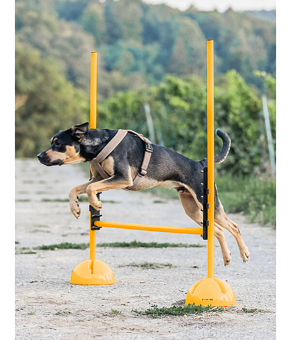 agility stangensteun