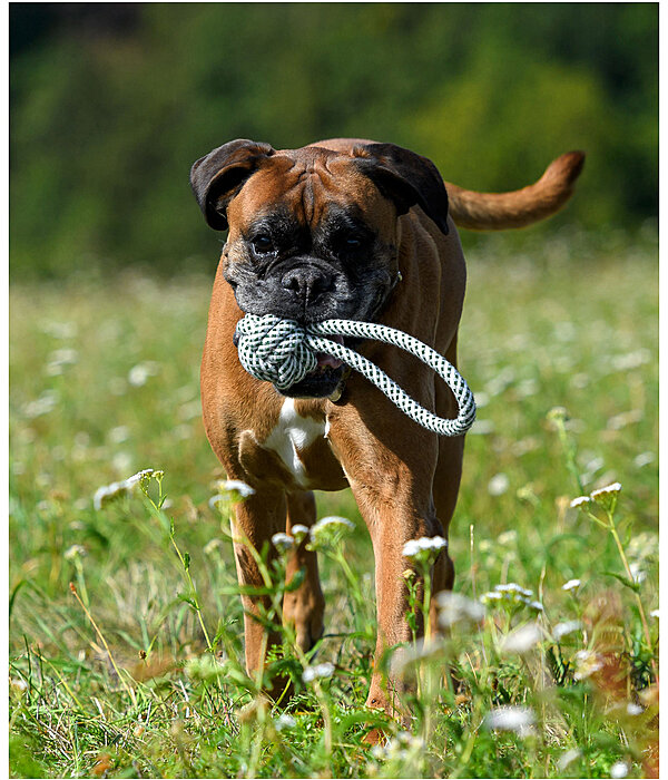 touwspeelgoed Hilde voor honden