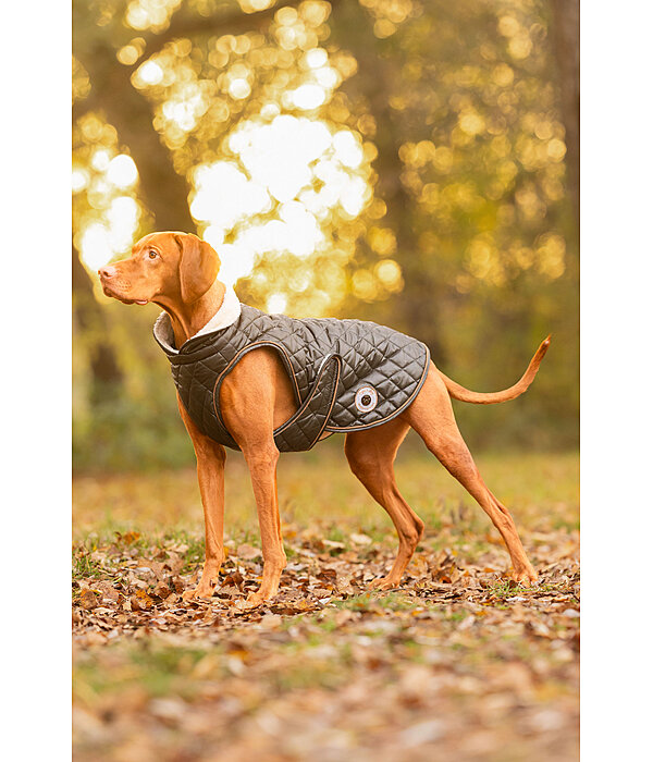 hondendeken Archie met teddyfleece voering, 160 g