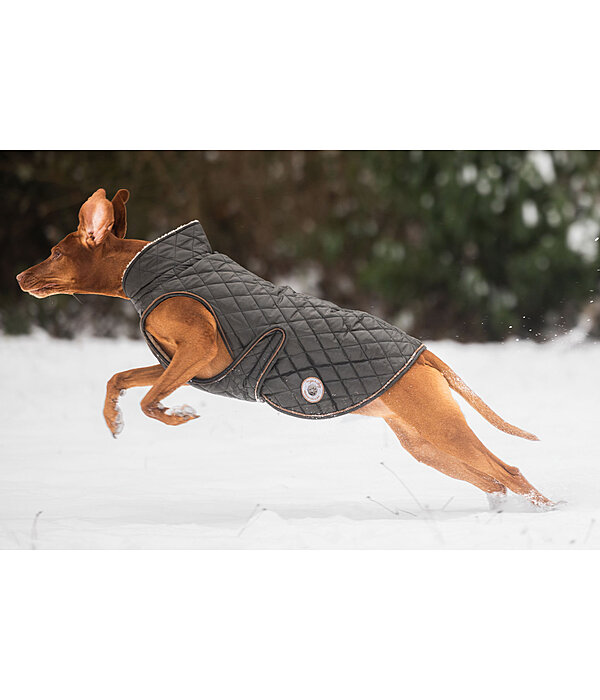 hondendeken Archie met teddyfleece voering, 160 g
