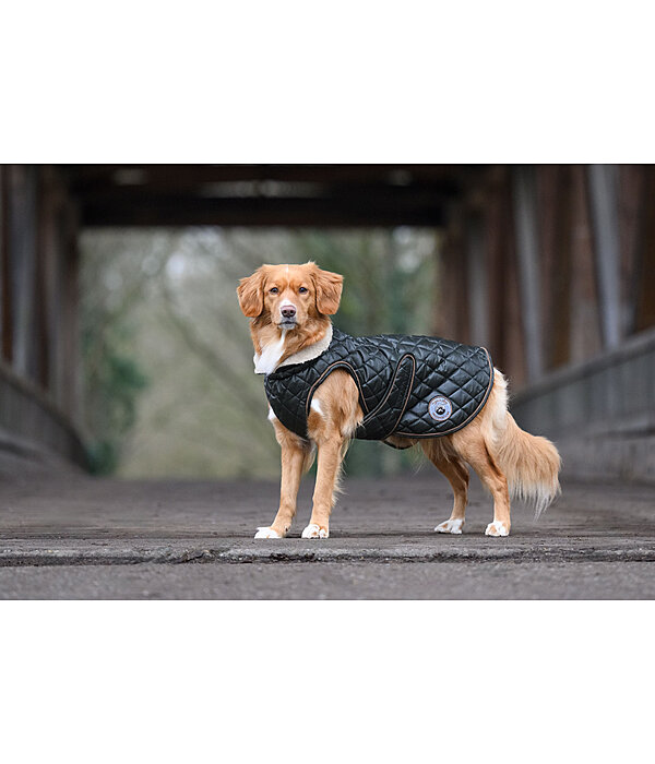hondendeken Archie met teddyfleece voering, 160 g