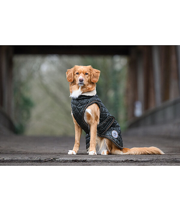 hondendeken Archie met teddyfleece voering, 160 g