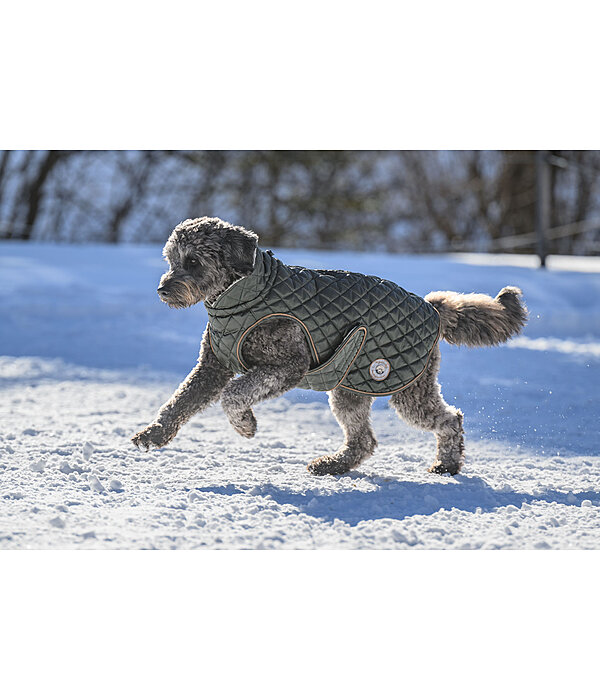 hondendeken Archie met teddyfleece voering, 160 g