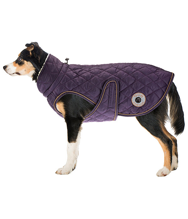 hondendeken Archie met teddyfleece voering, 160 g