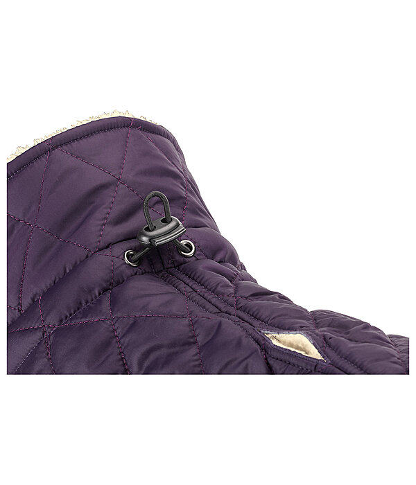 hondendeken Archie met teddyfleece voering, 160 g