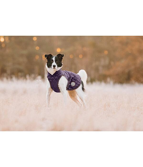 hondendeken Archie met teddyfleece voering, 160 g