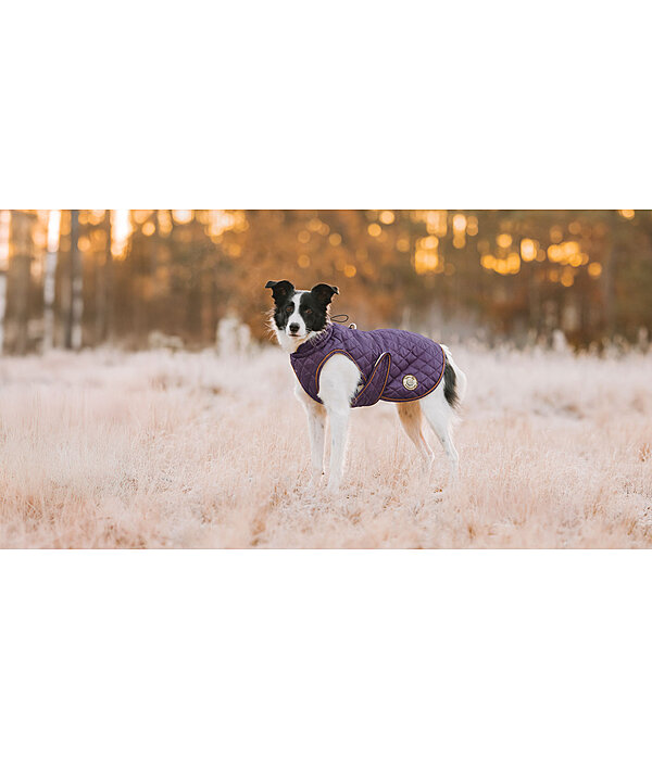 hondendeken Archie met teddyfleece voering, 160 g