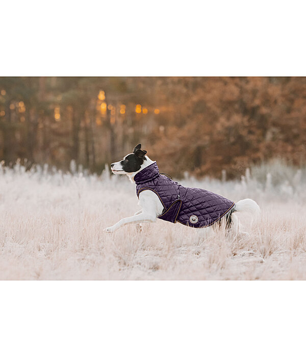 hondendeken Archie met teddyfleece voering, 160 g