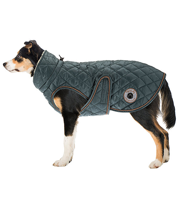 hondendeken Archie met teddyfleece voering, 160 g