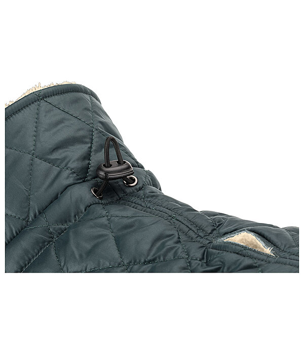 hondendeken Archie met teddyfleece voering, 160 g