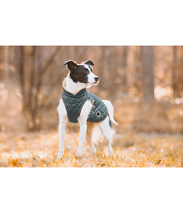 hondendeken Archie met teddyfleece voering, 160 g