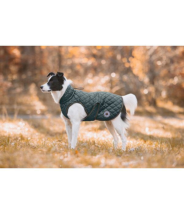 hondendeken Archie met teddyfleece voering, 160 g
