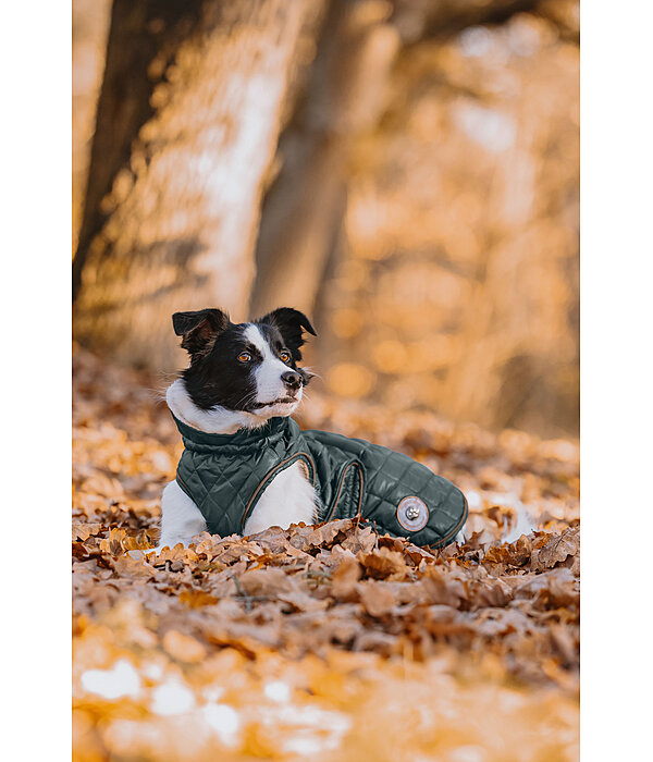 hondendeken Archie met teddyfleece voering, 160 g