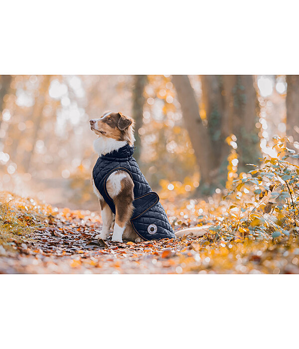 hondendeken Archie met teddyfleece voering, 160 g