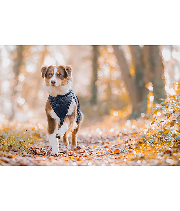 hondendeken Archie met teddyfleece voering, 160 g
