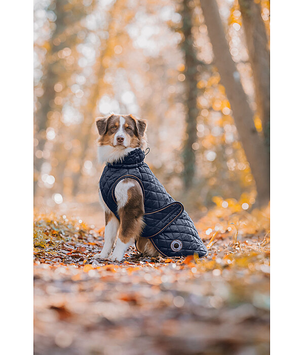 hondendeken Archie met teddyfleece voering, 160 g