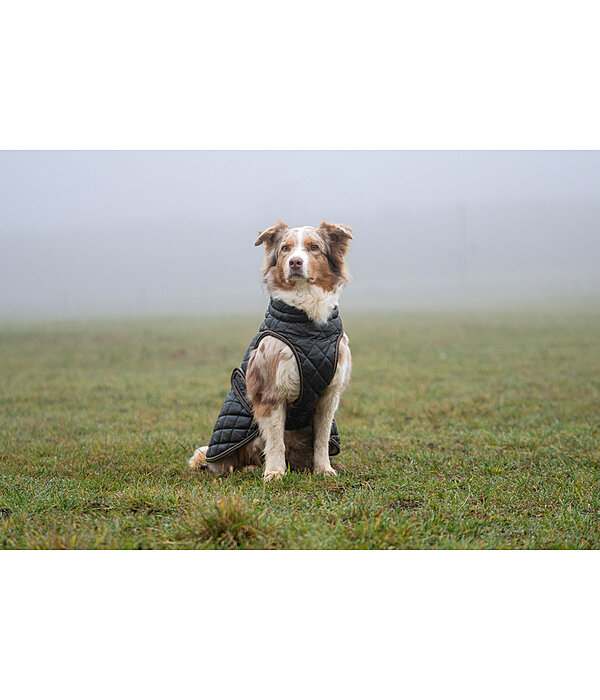 hondendeken Archie met teddyfleece voering, 160 g